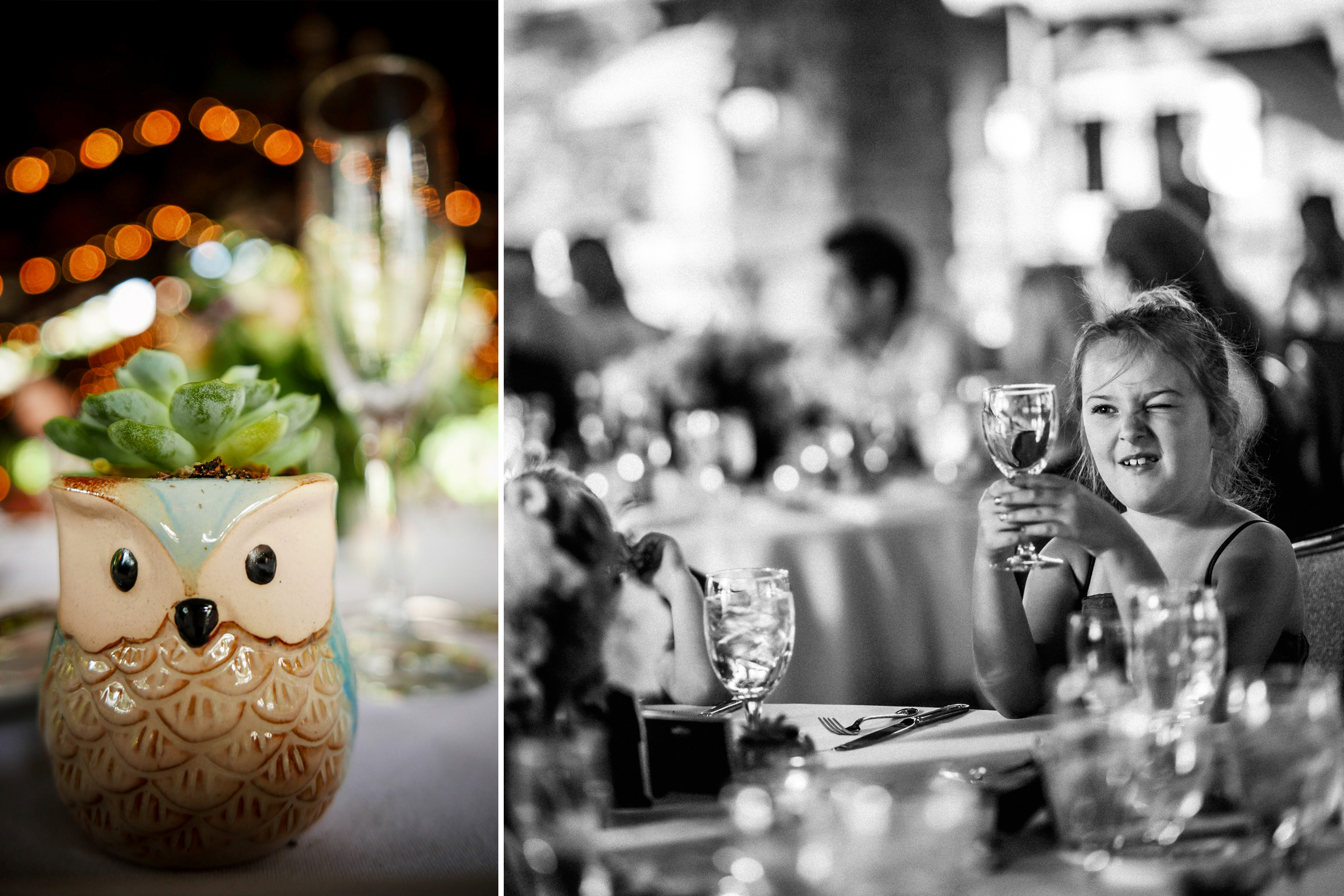 Wedding Photographers for Mohonk Mountain House