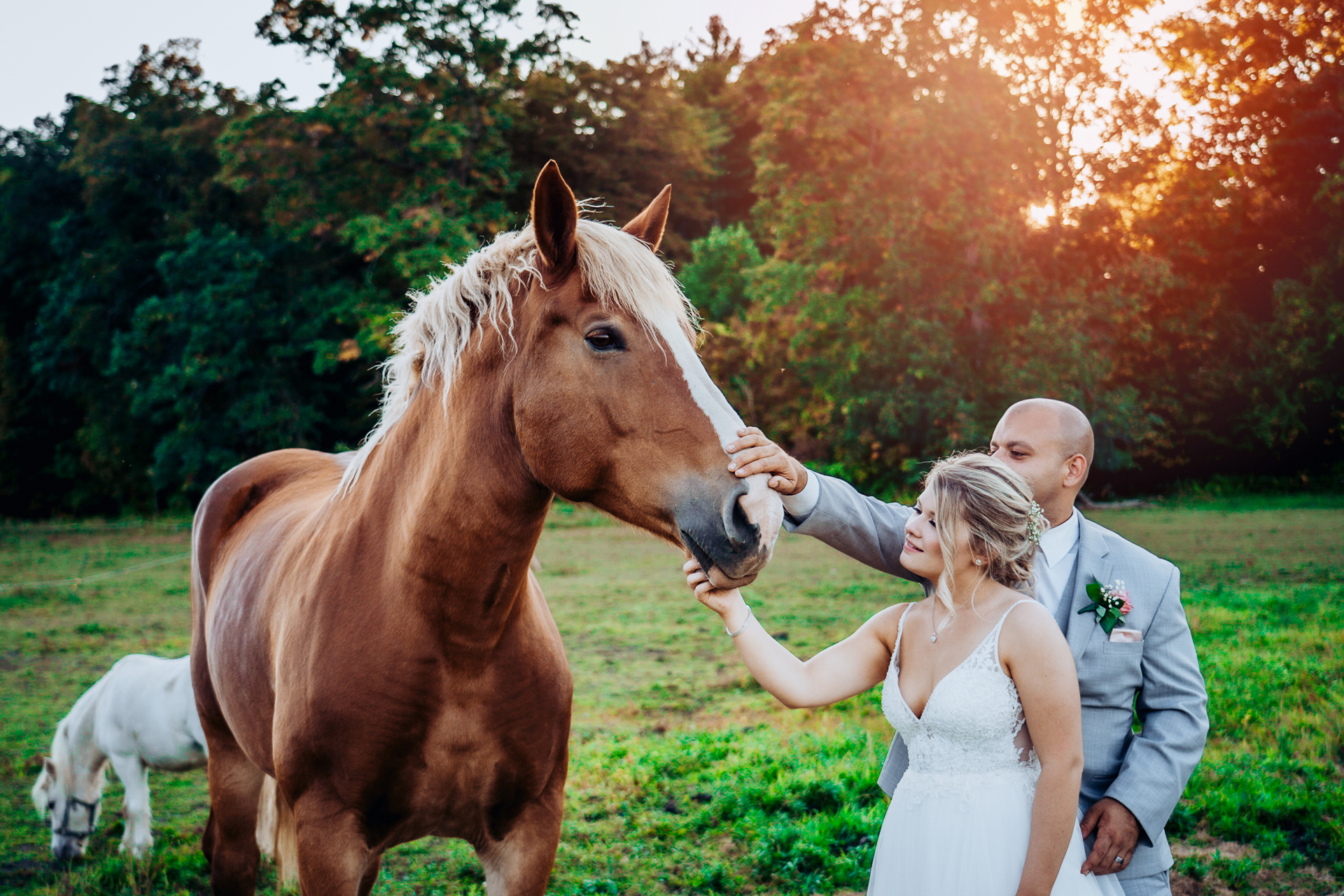 Fortune Valley Manor wedding photographer