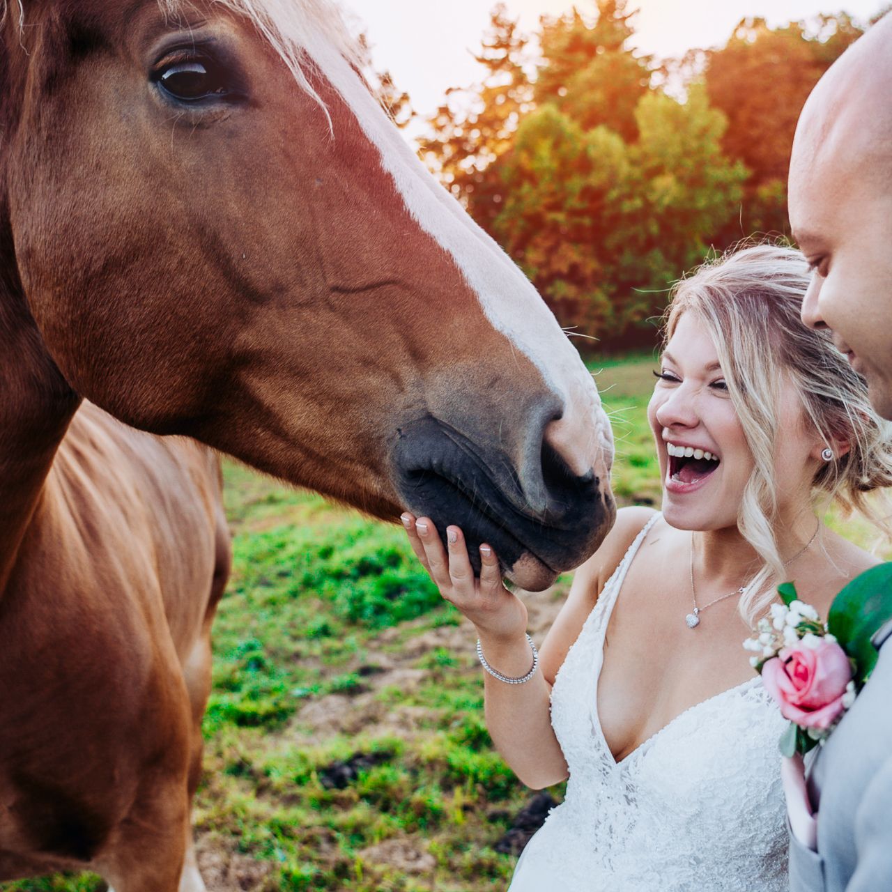 Fortune Valley Manor wedding photographer