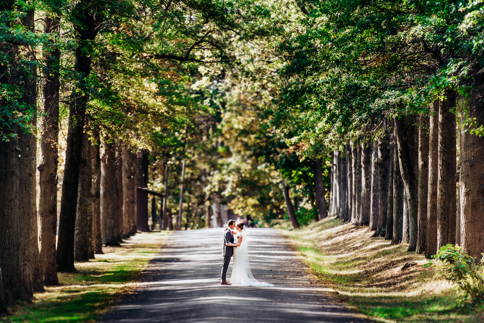 Arrow Park Wedding Photographers