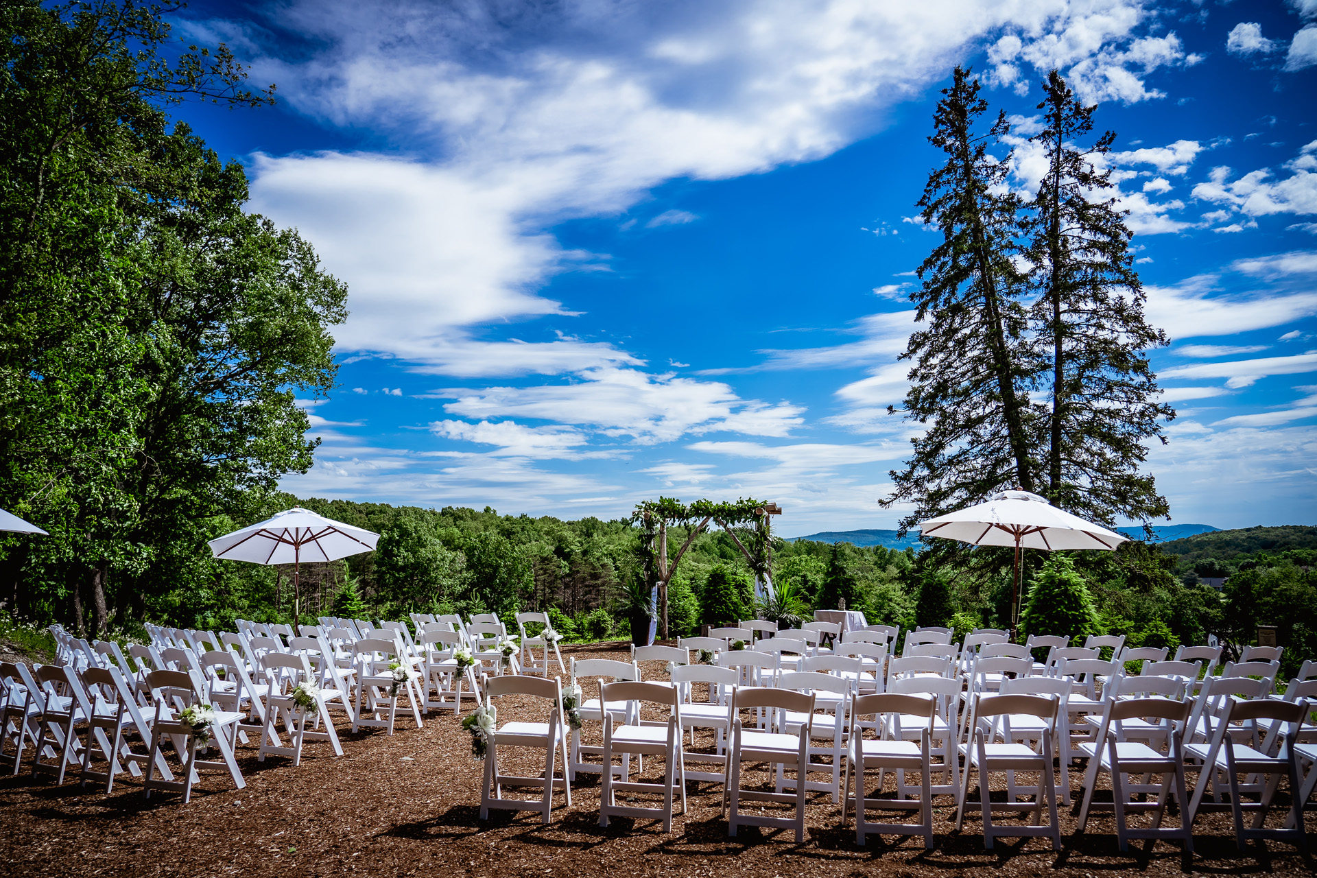Emmerich Tree Farm Wedding Photographer 