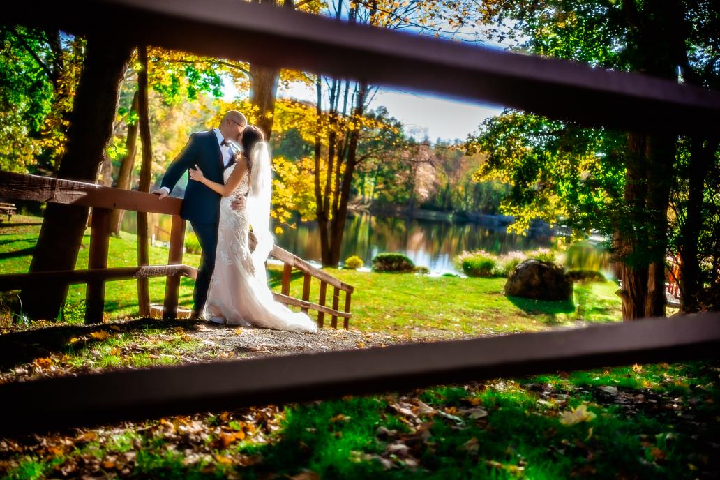 Mini Back Yard Wedding