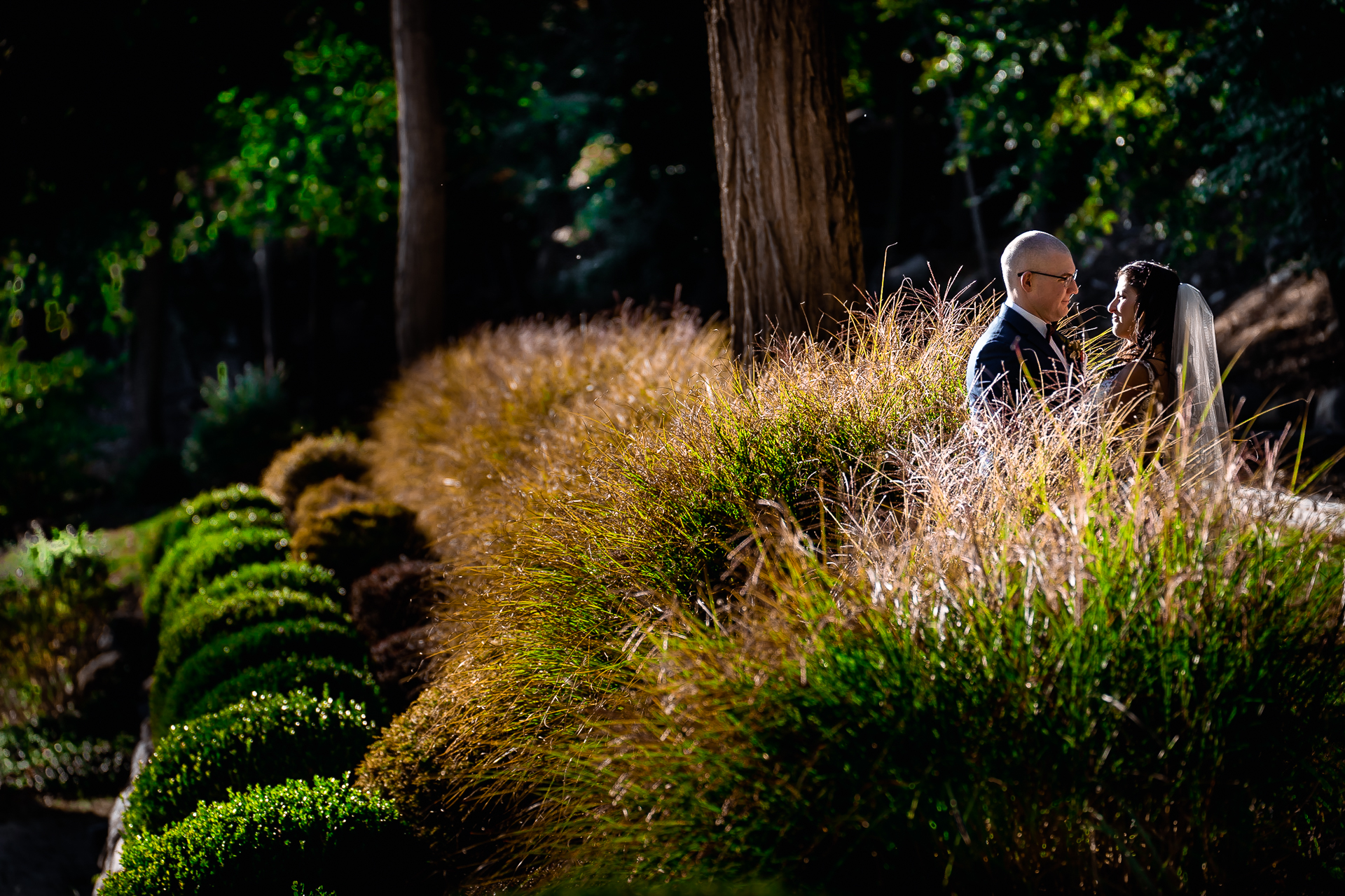 Mini Back Yard Wedding