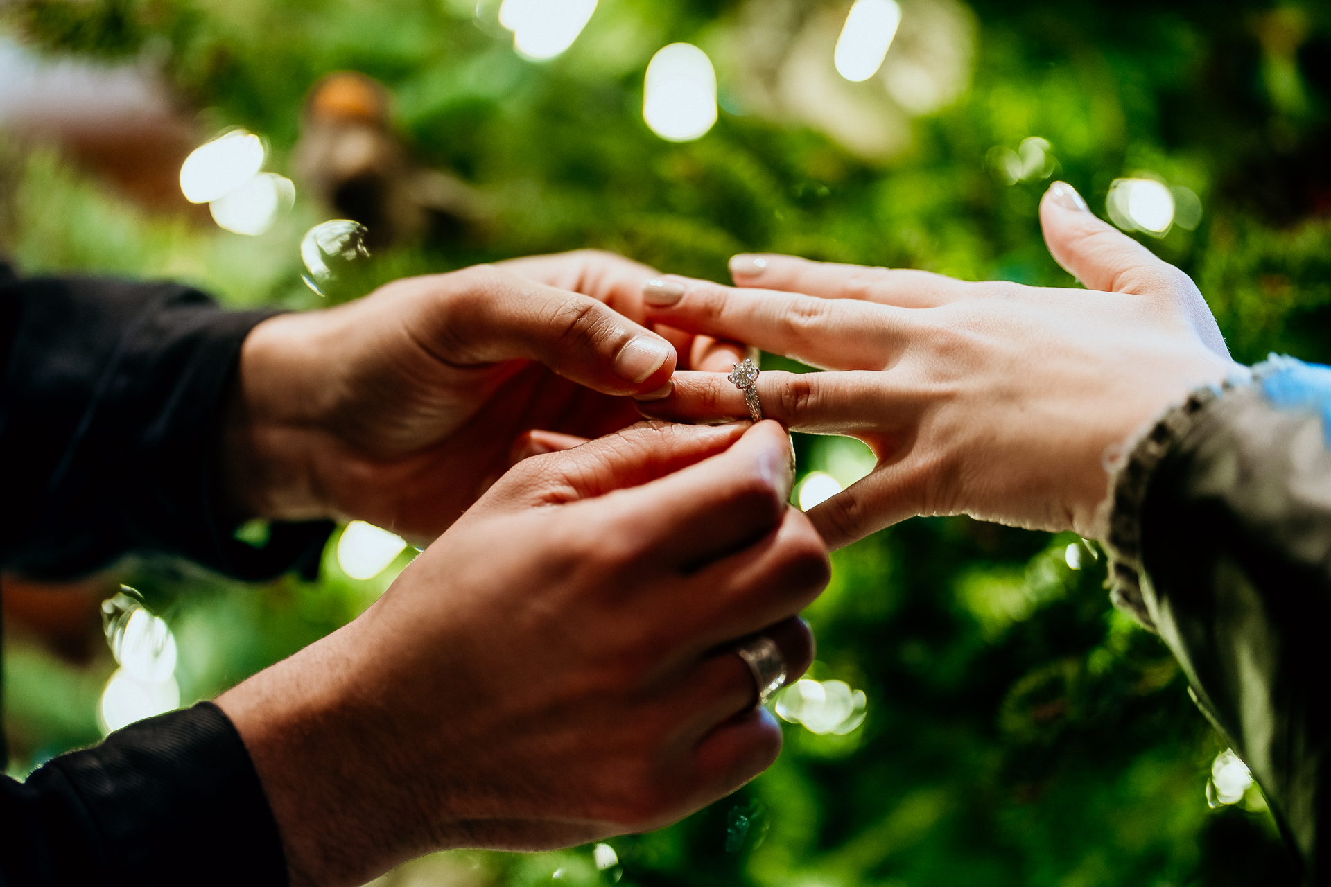 Mohonk proposal