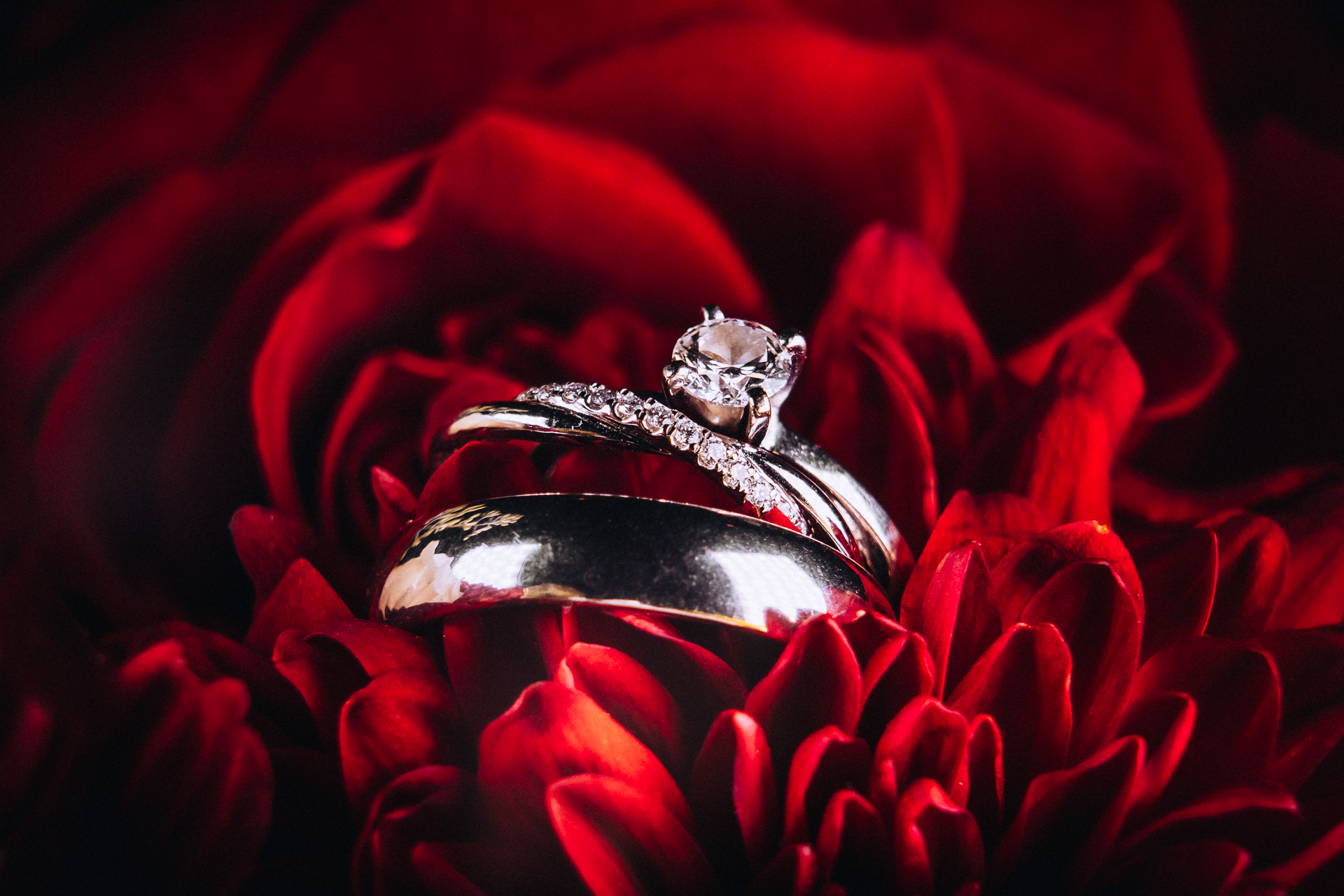 Locust Grove Estate Wedding Photographer