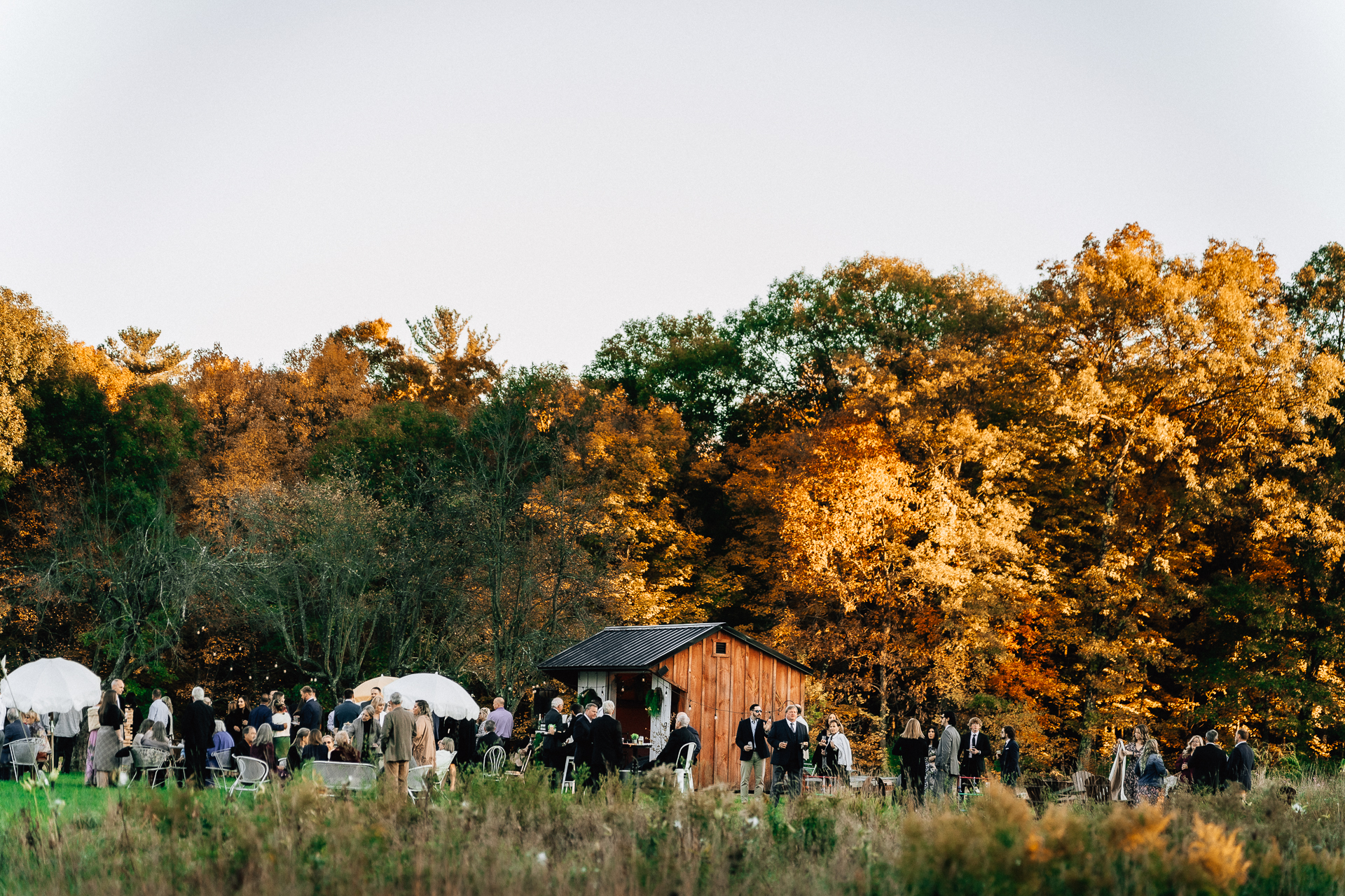 Black Walnut Farm wedding photographer 