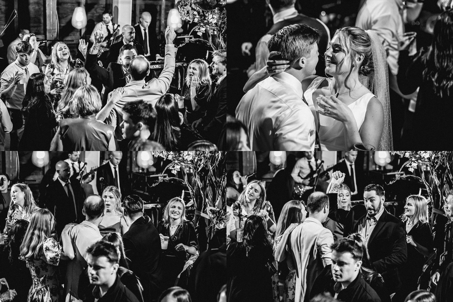 Black Walnut Farm wedding photographer