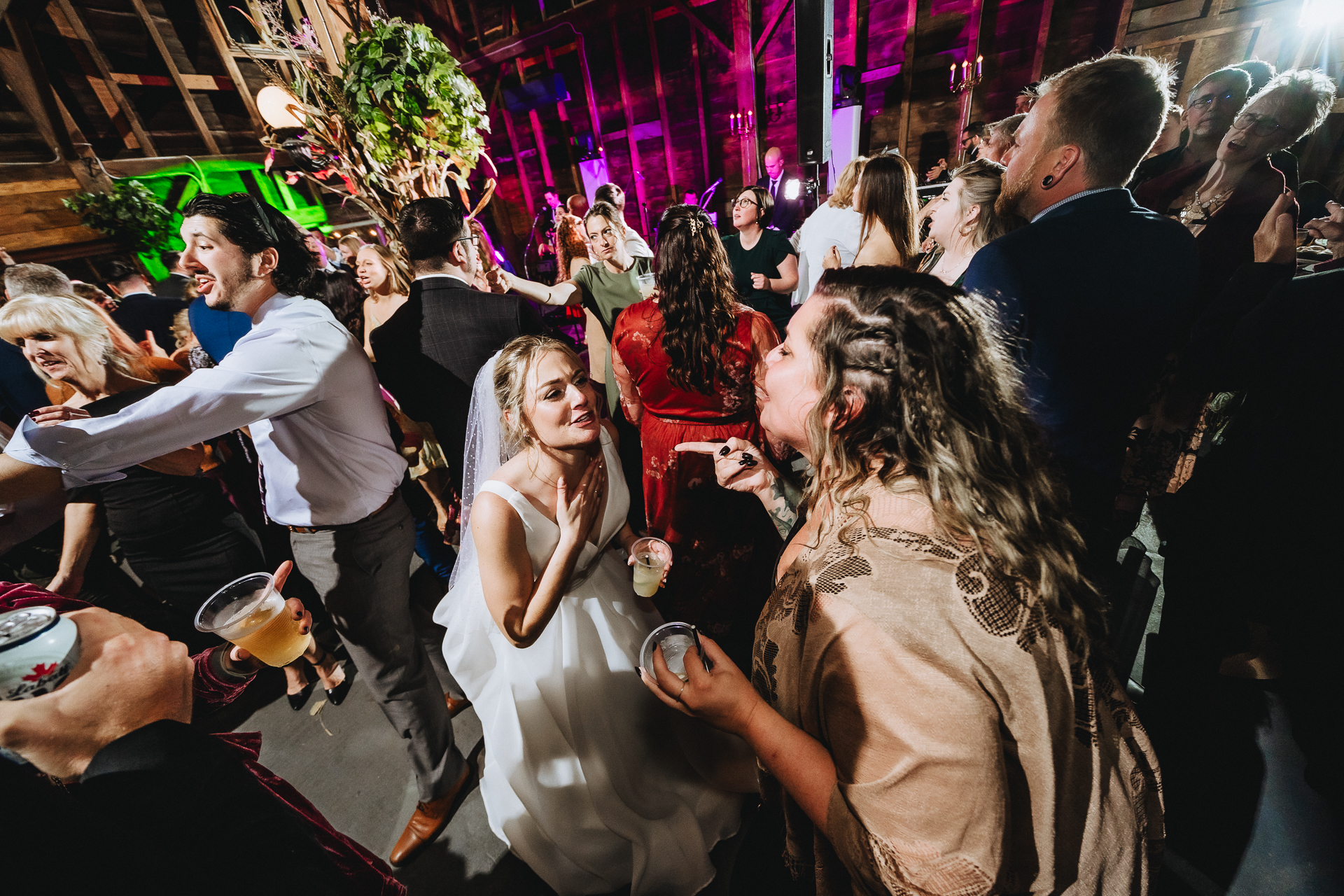 Black Walnut Farm wedding photographer 