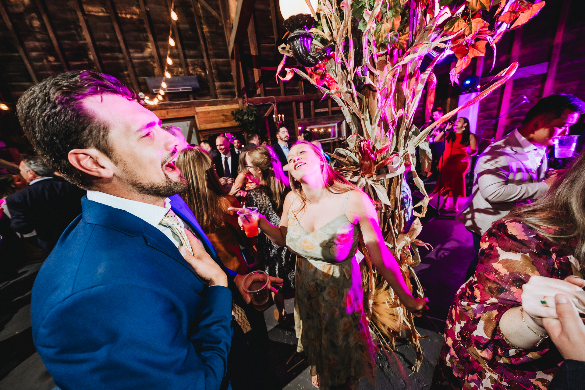 Black Walnut Farm wedding photographer 