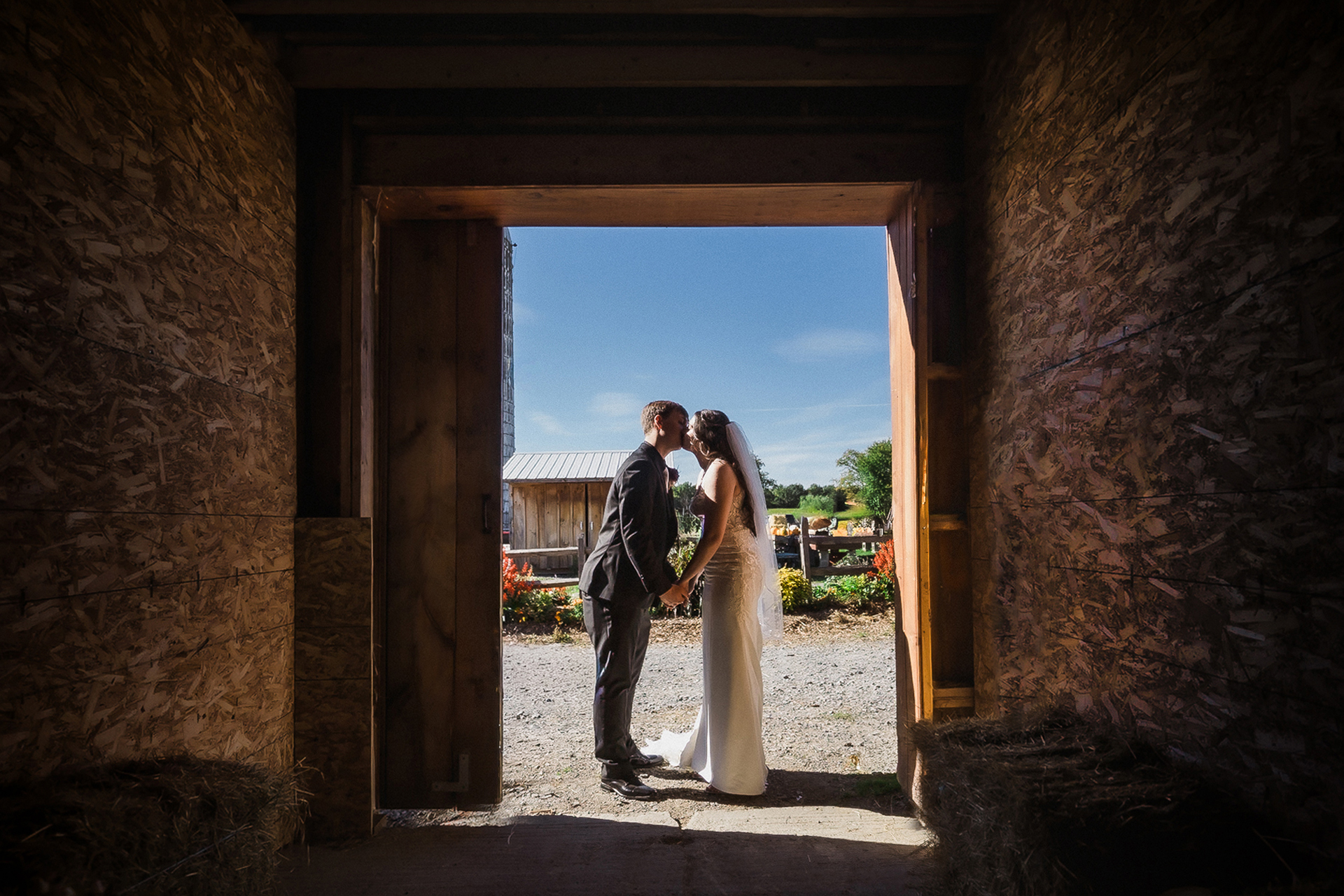 Twin Ponds on the Farm 