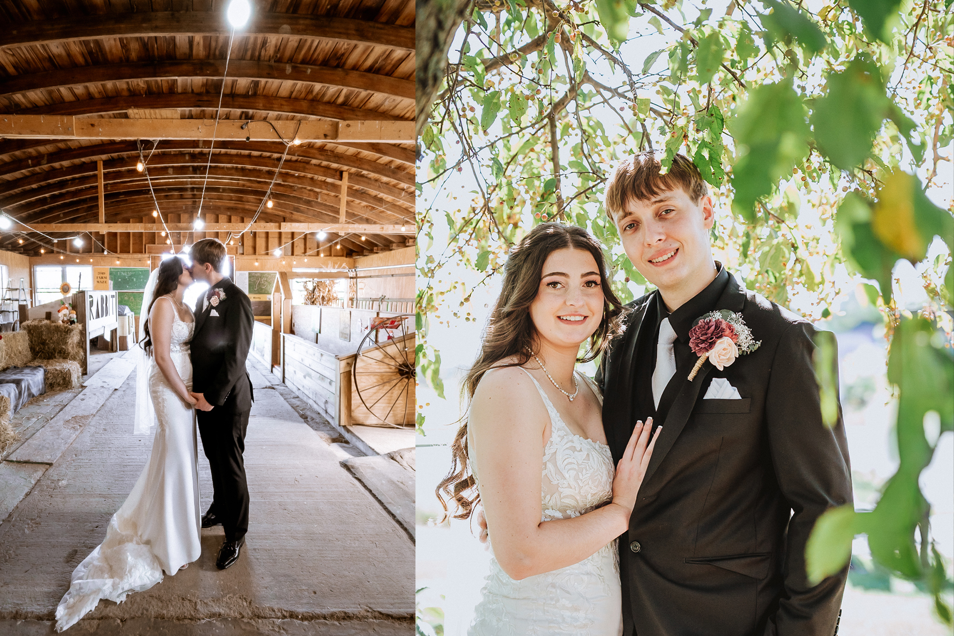 Twin Ponds on the Farm 