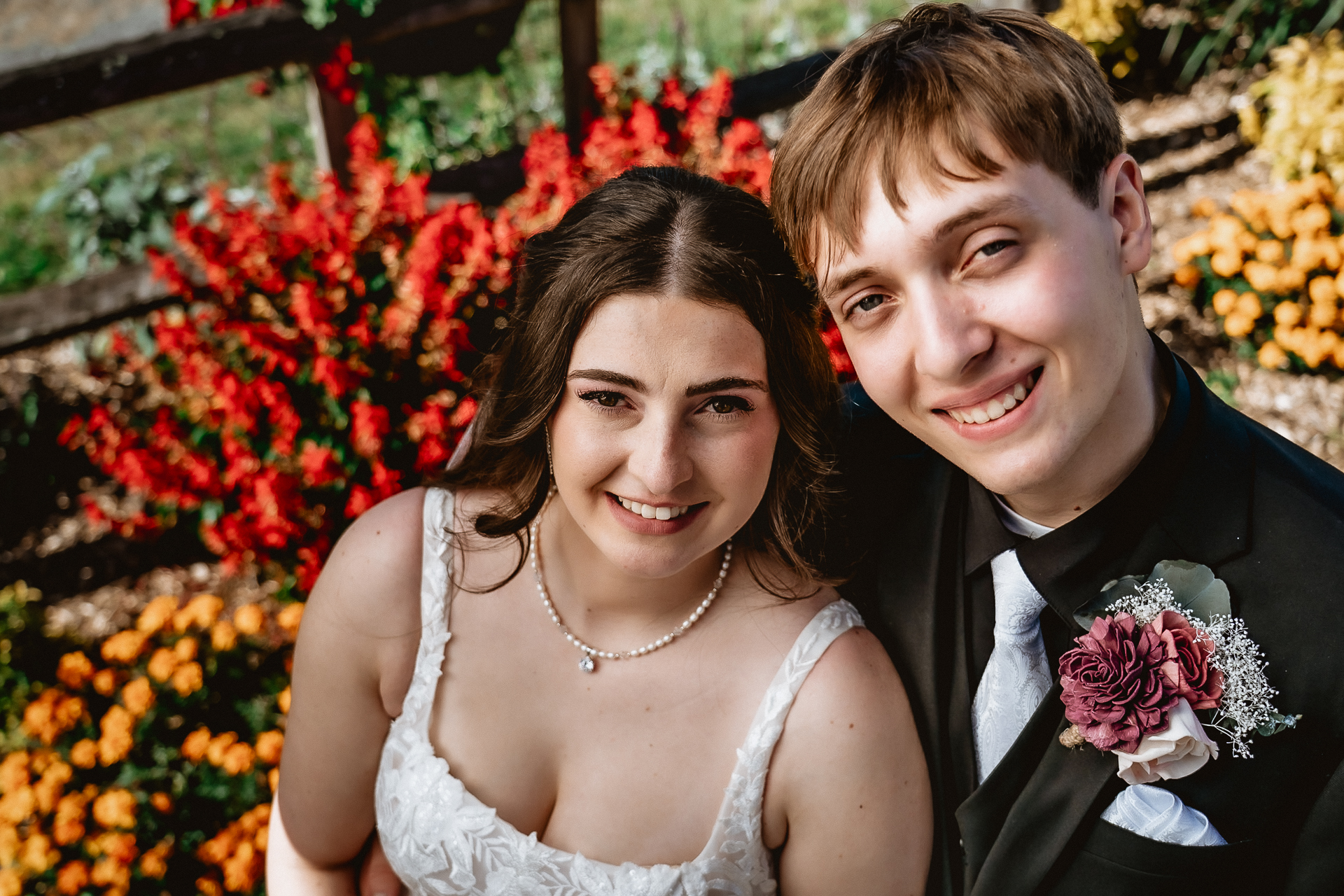Twin Ponds on the Farm 