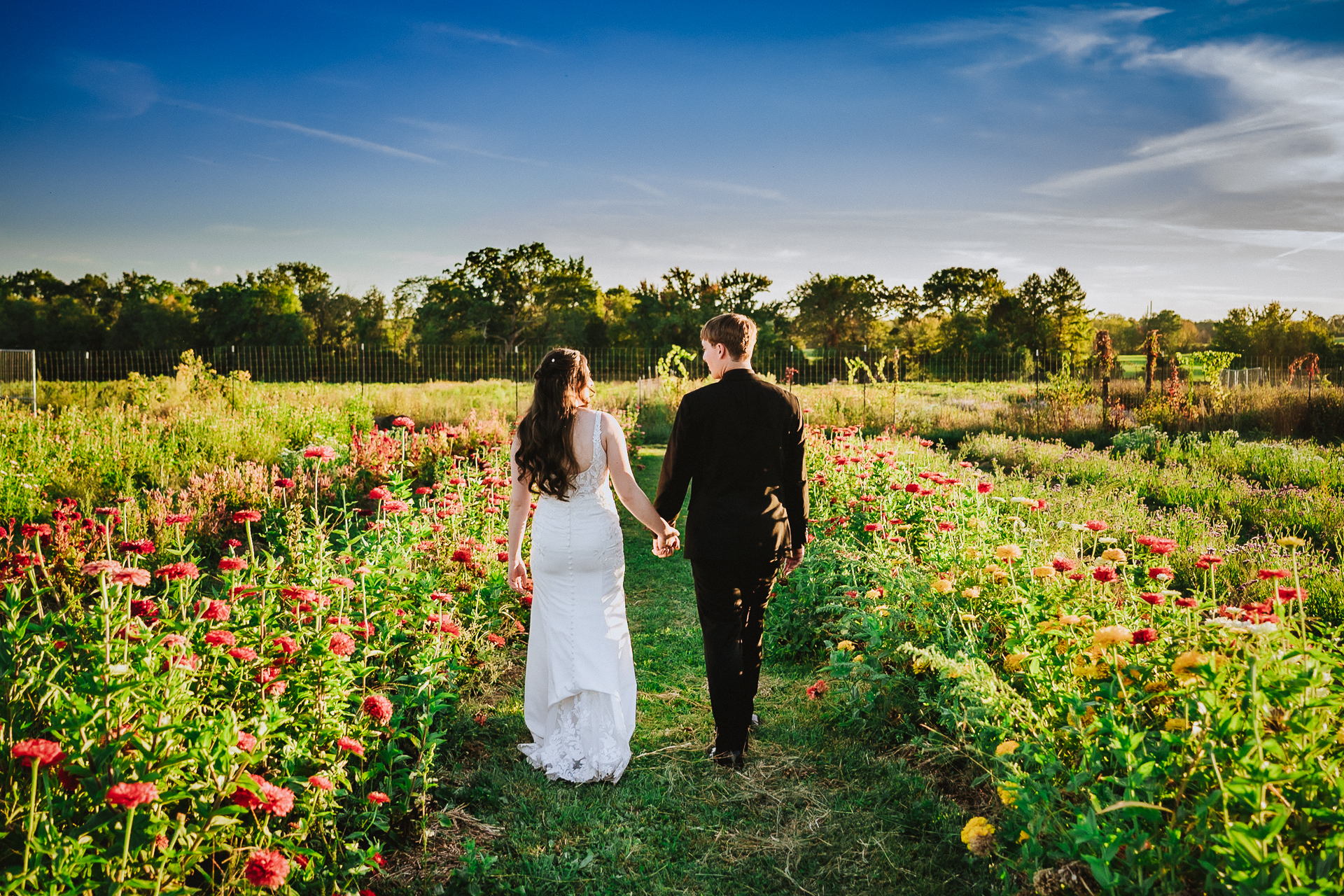 Twin Ponds on the Farm 