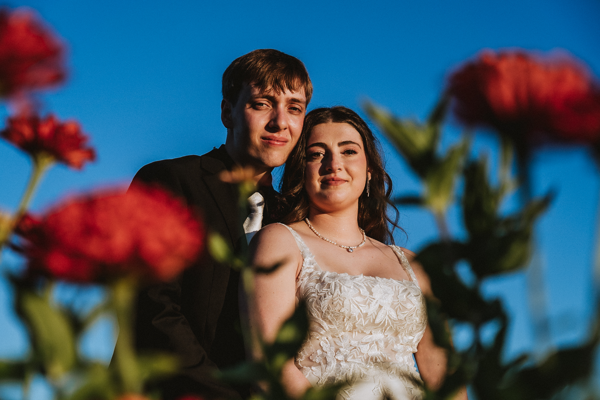 Twin Ponds on the Farm
